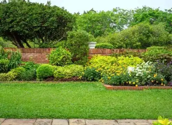 landscaping services Kennedyville